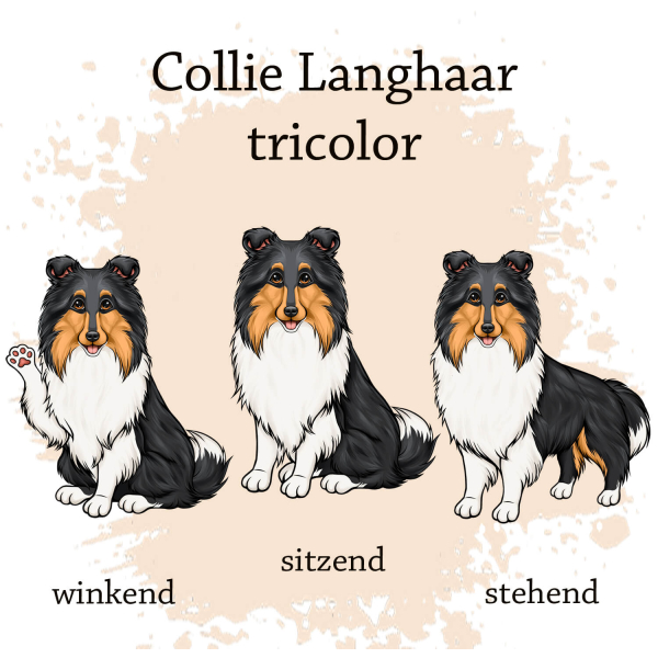 Motivauswahl für die Impfpasshülle Collie Langhaar tri color